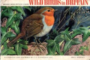 Wild Birds In Britain - Brooke Bond - Acceptable - Paperback